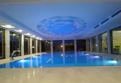 Private pool Babusnica