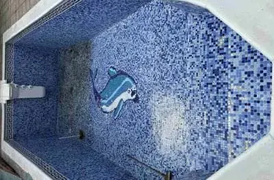 Private pool Dedinje